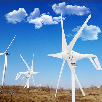 100W 200W 300W 400W 12V/24V Small Wind Turbine Generator S2 Model