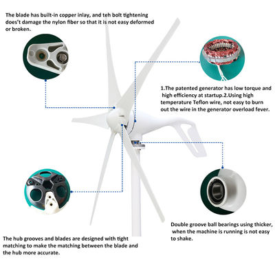 100W 200W 300W 400W 12V/24V Small Wind Turbine Generator S2 Model