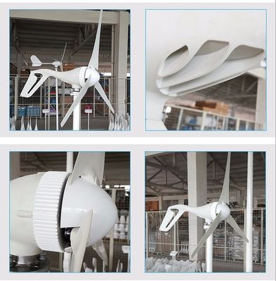 100W 200W 300W 400W 12V/24V Small Wind Turbine Generator S2 Model
