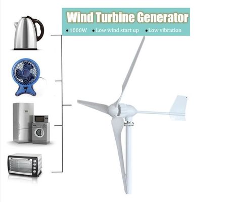 24V/48V 800w/1000w Garden Windmill/Wind Generator/Wind Turbine  M5 Model