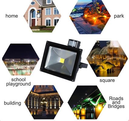PIR Sensor/Motion Sensor Waterproof IP65 10w 20w 30w 50w Outdoor Aluminium Solar Led Flood Light SFLE