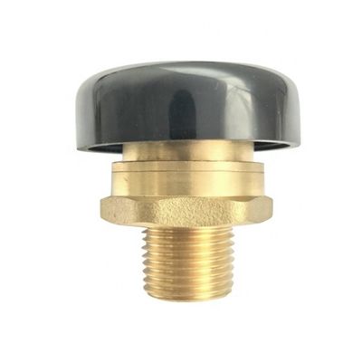 1/2'' Brass Vacuum Break Valve Male Thread Anti-Vacuum Negative Pressure Of Pipeline,Tank